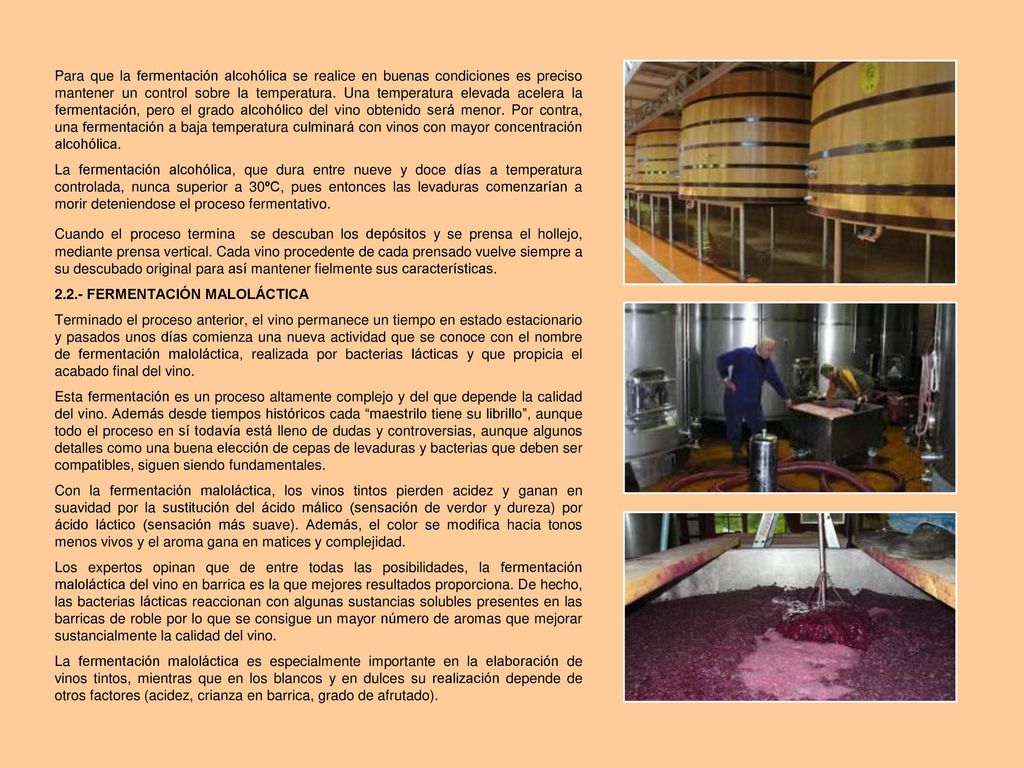Para que la fermentación alcohólica se realice en buenas condiciones es preciso mantener un control sobre la temperatura. Una temperatura elevada acelera la fermentación, pero el grado alcohólico del vino obtenido será menor. Por contra, una fermentación a baja temperatura culminará con vinos con mayor concentración alcohólica.