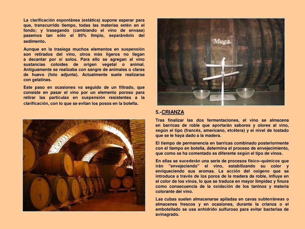 La clarificación espontánea (estática) supone esperar para que, transcurrido tiempo, todas las materias estén en el fondo; y trasegando (cambiando el vino de envase) pasemos tan sólo el 95% limpio, separándolo del sedimento.