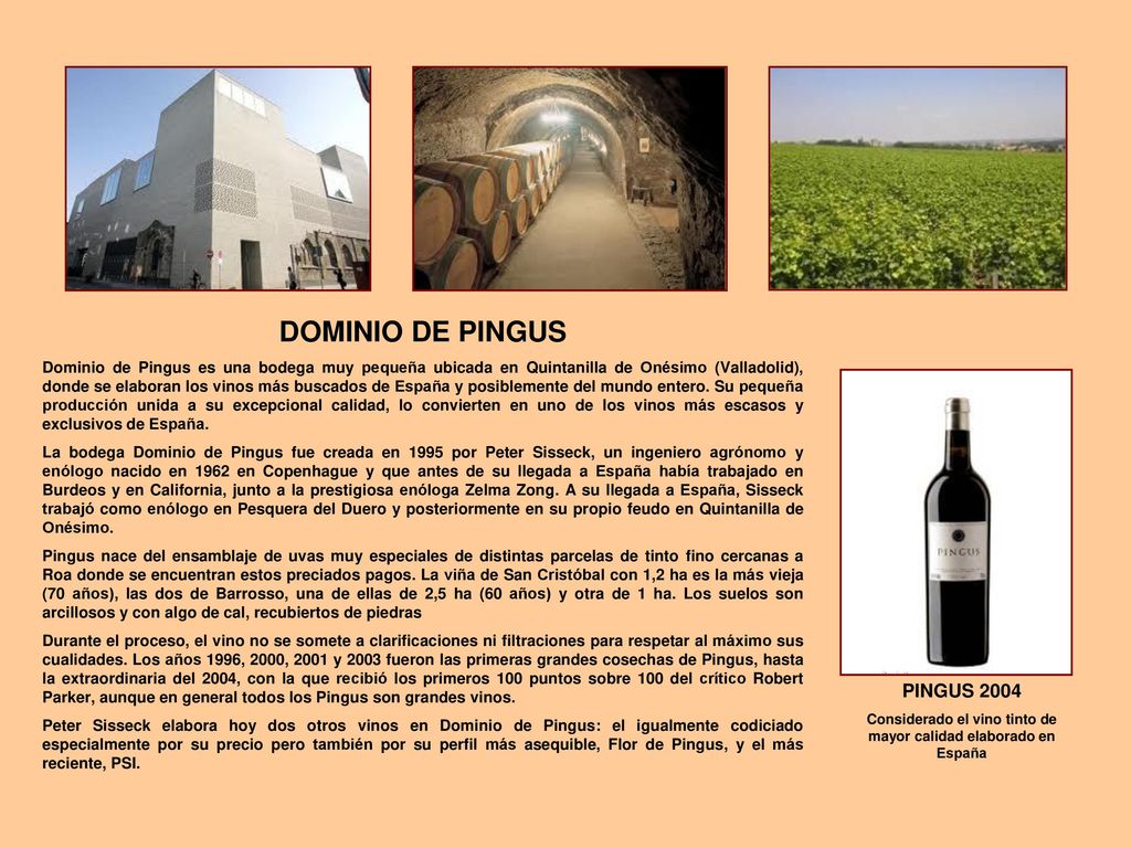 Considerado el vino tinto de mayor calidad elaborado en España
