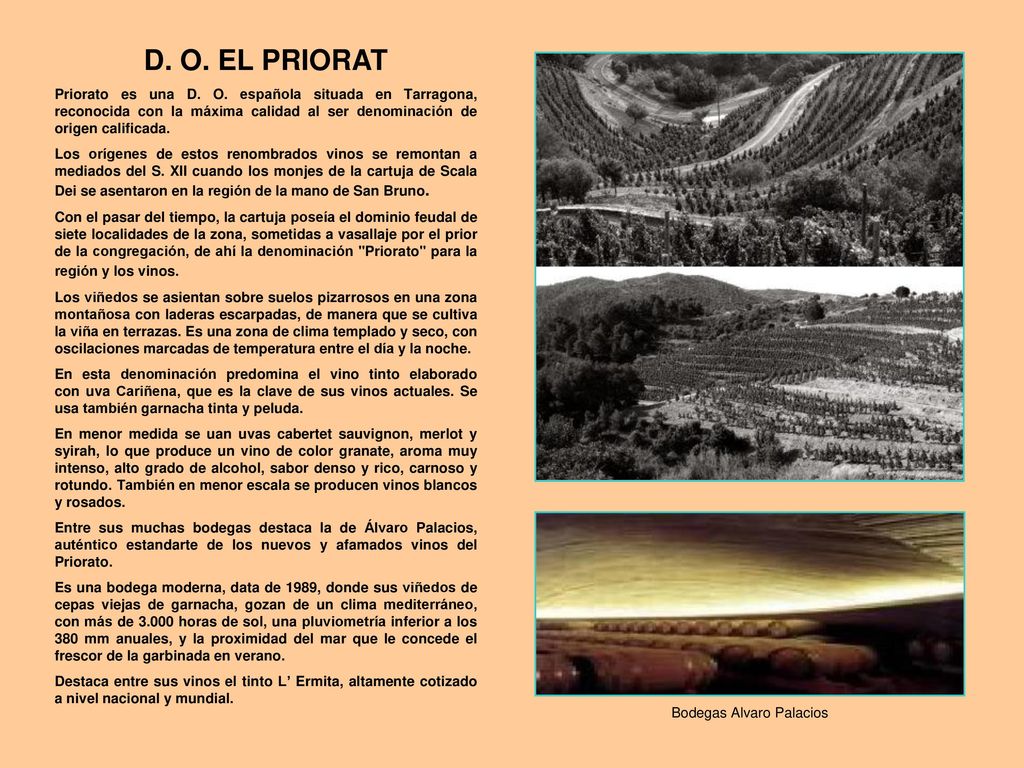 Bodegas Alvaro Palacios