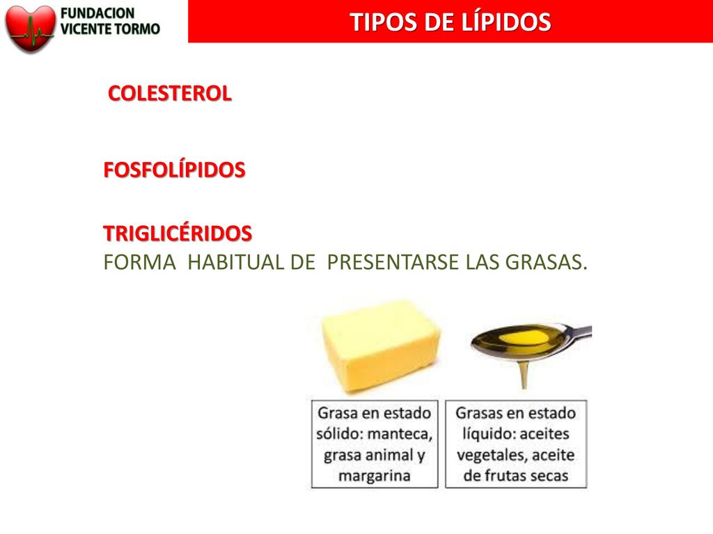 TIPOS DE LÍPIDOS COLESTEROL FOSFOLÍPIDOS TRIGLICÉRIDOS