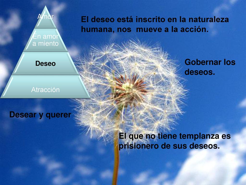 El deseo está inscrito en la naturaleza humana, nos mueve a la acción.