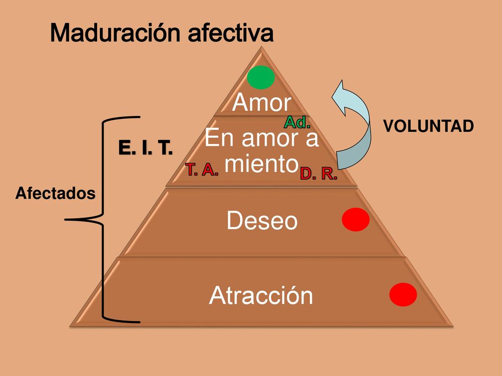 Maduración afectiva Amor En amor a miento Deseo Atracción E. I. T. Ad.