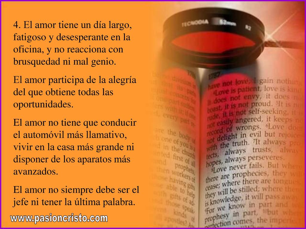 El amor no siempre debe ser el jefe ni tener la última palabra.