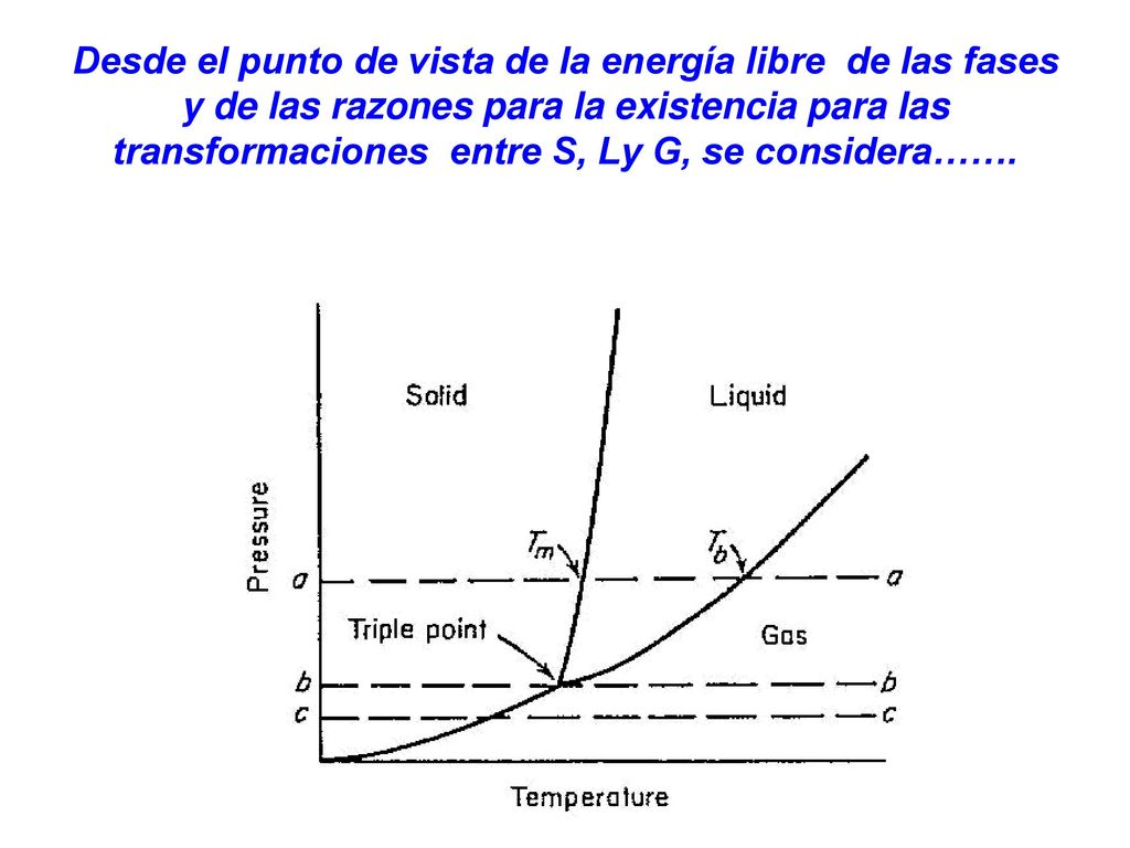Desde el punto de vista de la energía libre de las fases y de las razones para la existencia para las transformaciones entre S, Ly G, se considera…….