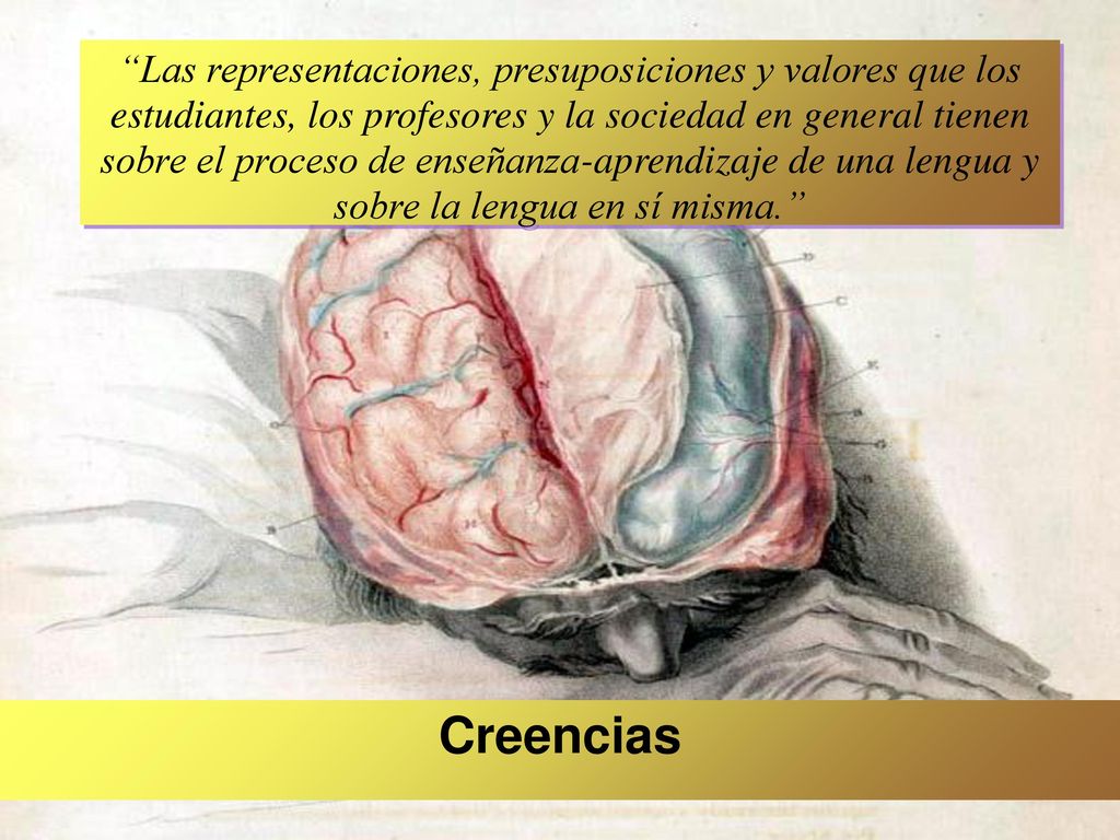 Las representaciones, presuposiciones y valores que los estudiantes, los profesores y la sociedad en general tienen sobre el proceso de enseñanza-aprendizaje de una lengua y sobre la lengua en sí misma.