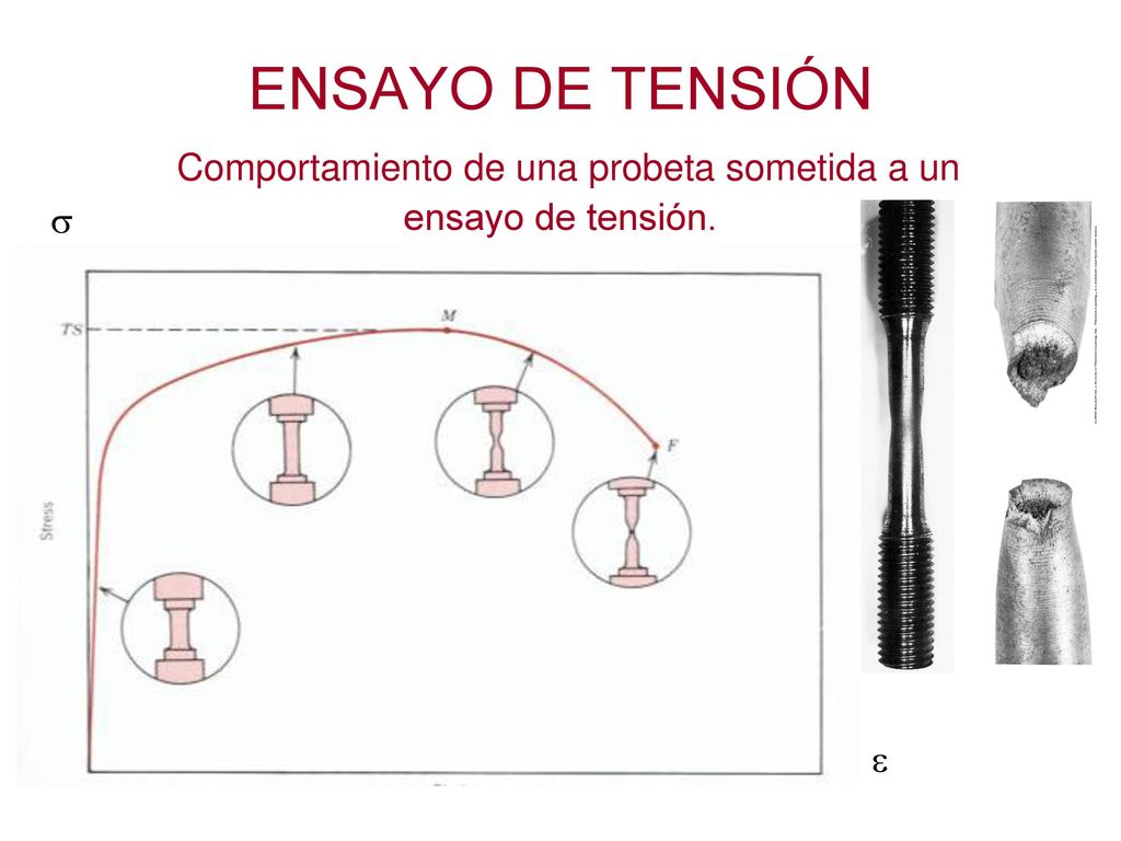 ENSAYO DE TENSIÓN Comportamiento de una probeta sometida a un ensayo de tensión.