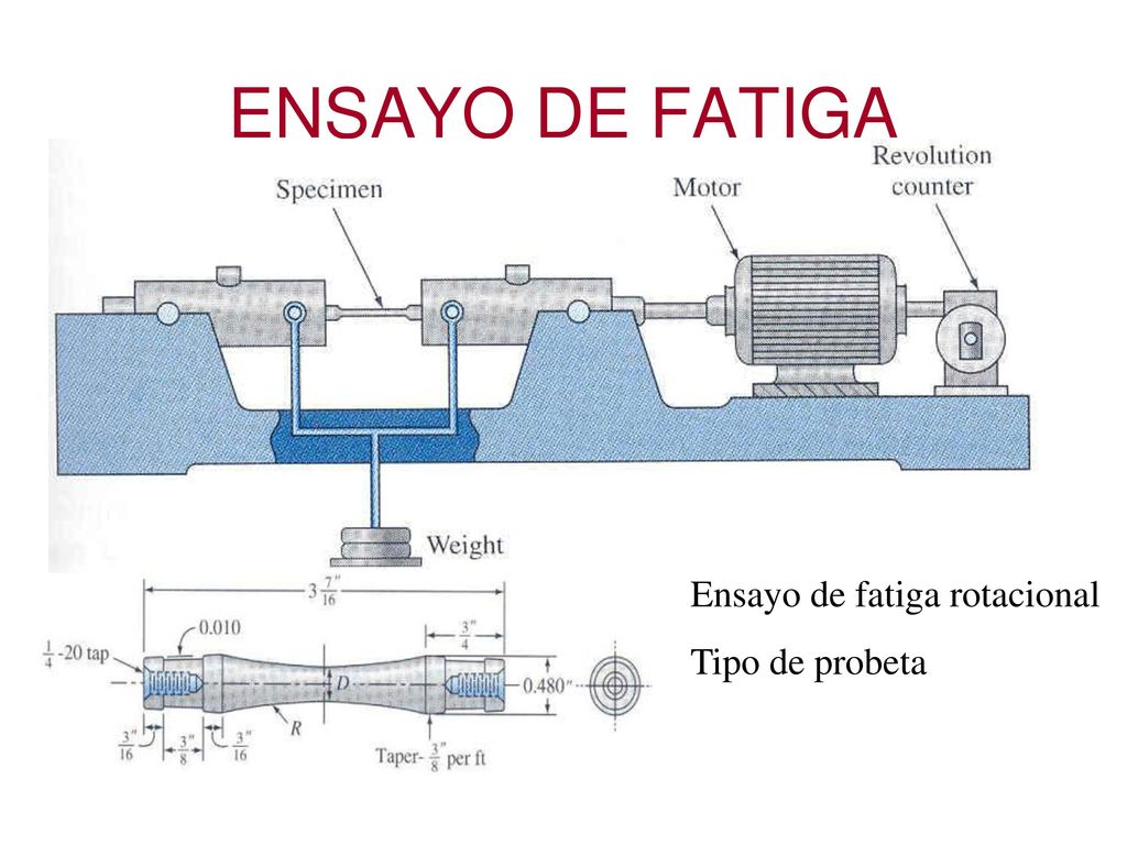 ENSAYO DE FATIGA Ensayo de fatiga rotacional Tipo de probeta