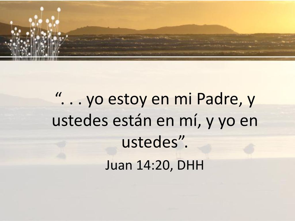 yo estoy en mi Padre, y ustedes están en mí, y yo en ustedes .
