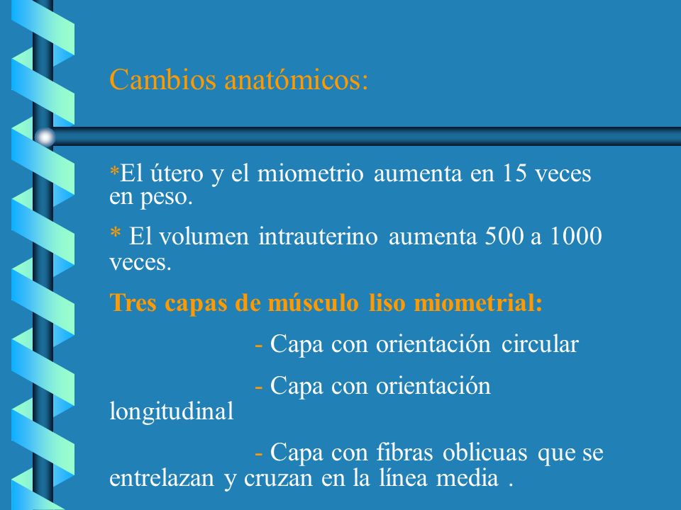 Cambios anatómicos: *El útero y el miometrio aumenta en 15 veces en peso. * El volumen intrauterino aumenta 500 a 1000 veces.
