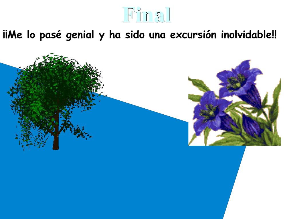 Gracias Final ¡¡Me lo pasé genial y ha sido una excursión inolvidable!!
