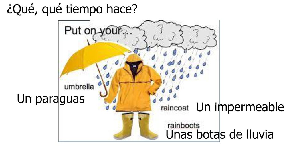 ¿Qué, qué tiempo hace Un paraguas Un impermeable Unas botas de lluvia