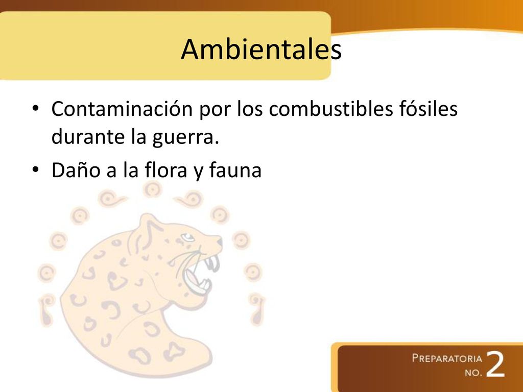 Ambientales Contaminación por los combustibles fósiles durante la guerra. Daño a la flora y fauna