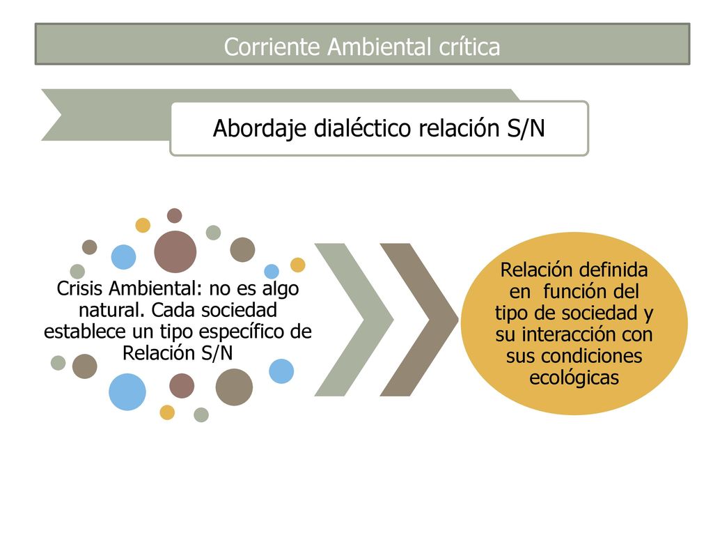 Corriente Ambiental crítica Abordaje dialéctico relación S/N