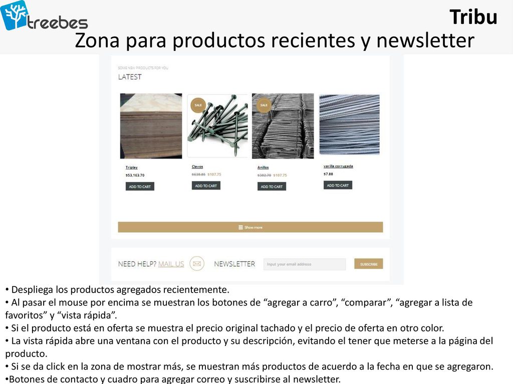 Zona para productos recientes y newsletter