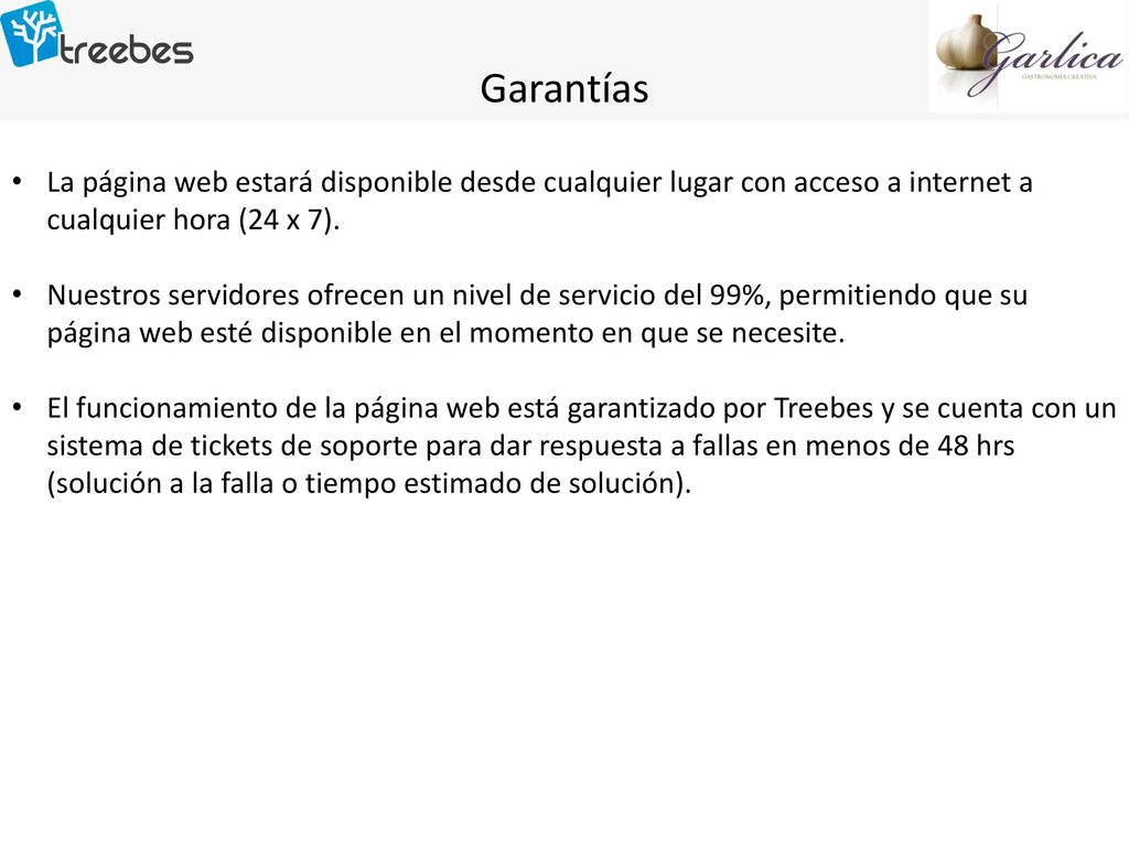 Garantías La página web estará disponible desde cualquier lugar con acceso a internet a cualquier hora (24 x 7).