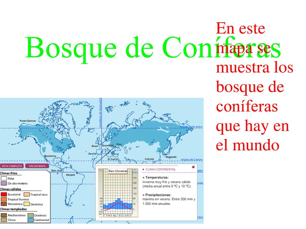 En este mapa se muestra los bosque de coníferas que hay en el mundo