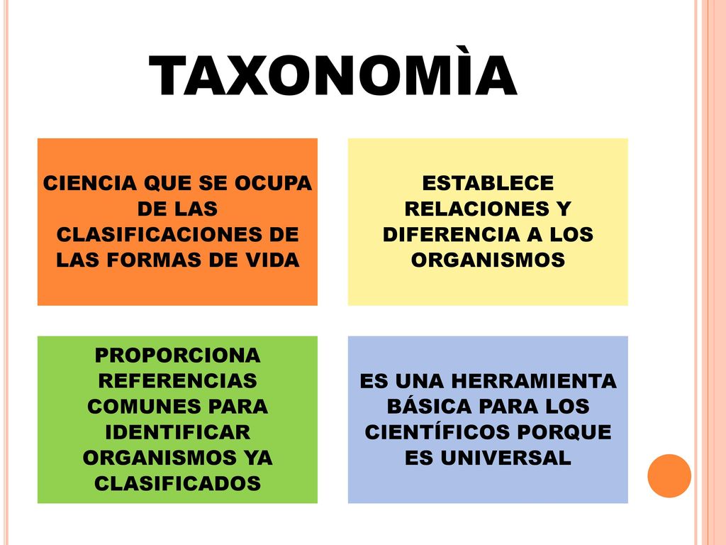 TAXONOMÌA CIENCIA QUE SE OCUPA DE LAS CLASIFICACIONES DE LAS FORMAS DE VIDA. ESTABLECE RELACIONES Y DIFERENCIA A LOS ORGANISMOS.
