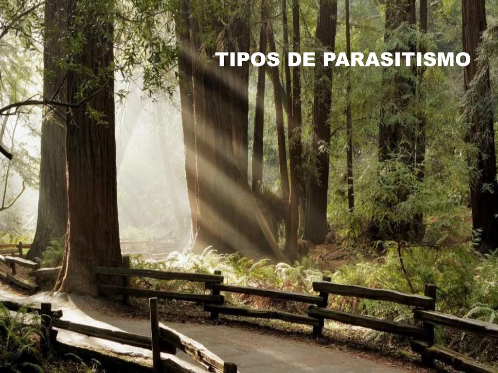 TIPOS DE PARASITISMO TIPOS DE PARASITISMO