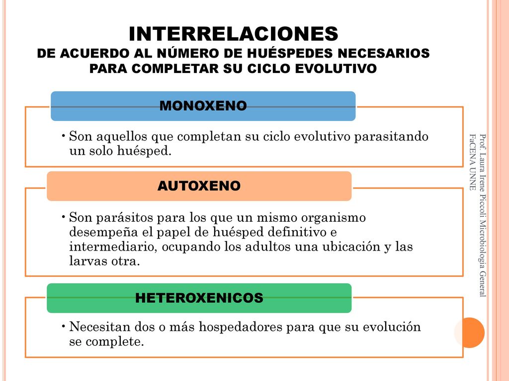 INTERRELACIONES DE ACUERDO AL NÚMERO DE HUÉSPEDES NECESARIOS PARA COMPLETAR SU CICLO EVOLUTIVO