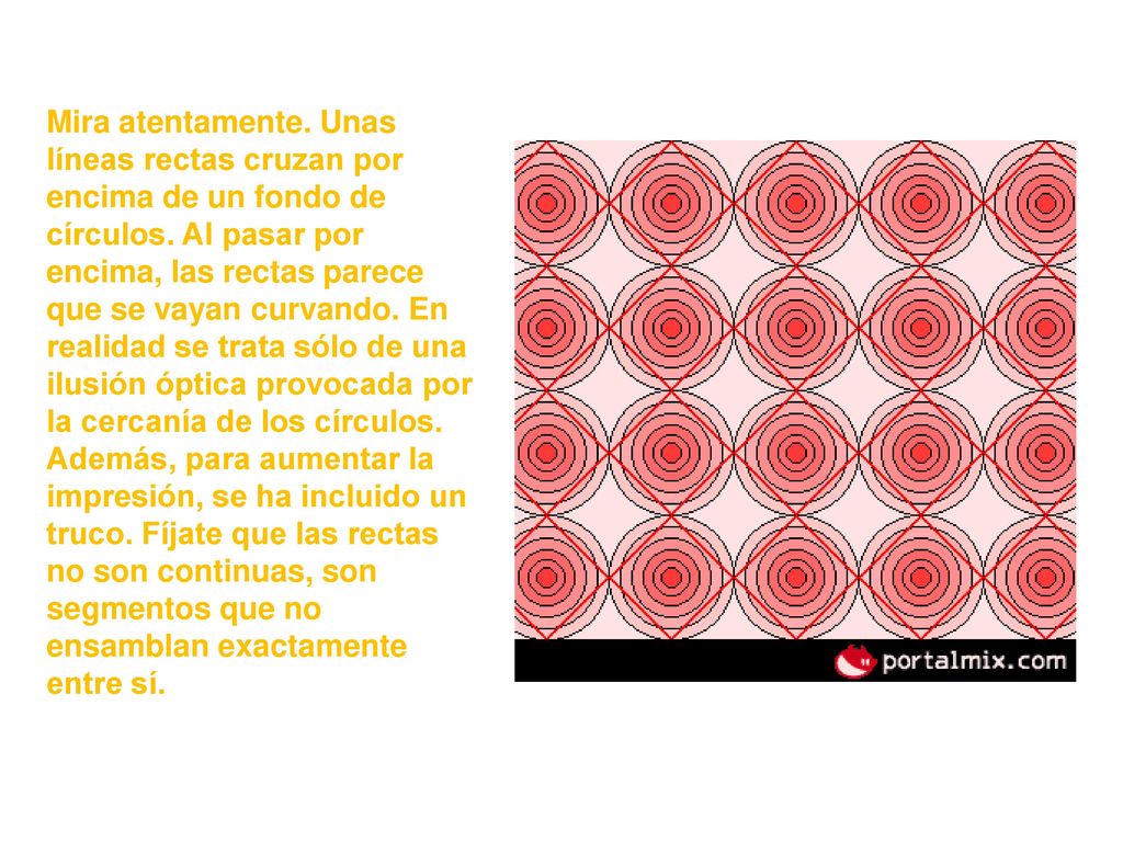 Mira atentamente. Unas líneas rectas cruzan por encima de un fondo de círculos.