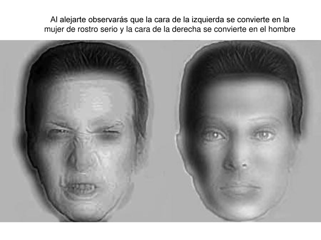 Al alejarte observarás que la cara de la izquierda se convierte en la mujer de rostro serio y la cara de la derecha se convierte en el hombre enfadado.
