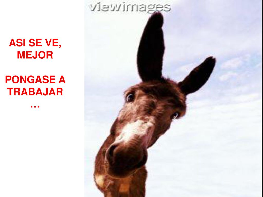 ASI SE VE, MEJOR PONGASE A TRABAJAR…