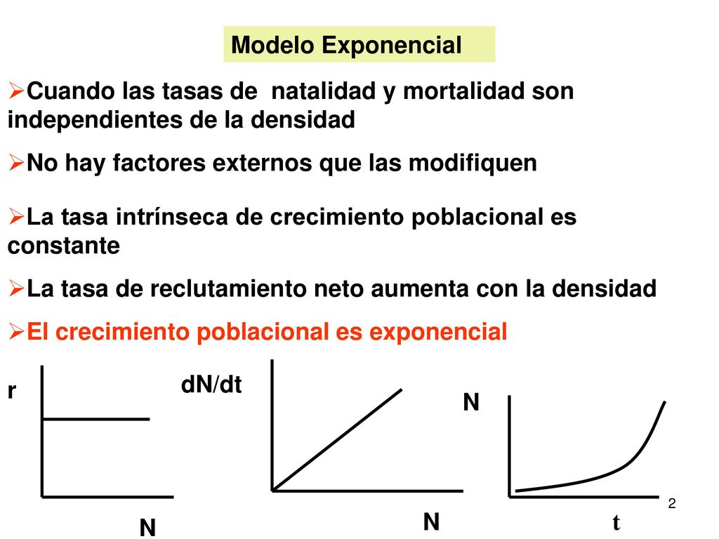 Modelo Exponencial Cuando las tasas de natalidad y mortalidad son independientes de la densidad. No hay factores externos que las modifiquen.
