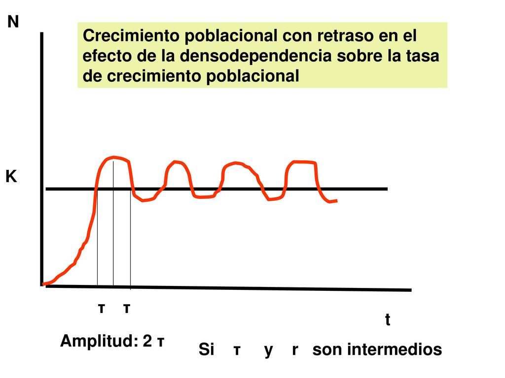 N t. K. Crecimiento poblacional con retraso en el efecto de la densodependencia sobre la tasa de crecimiento poblacional.