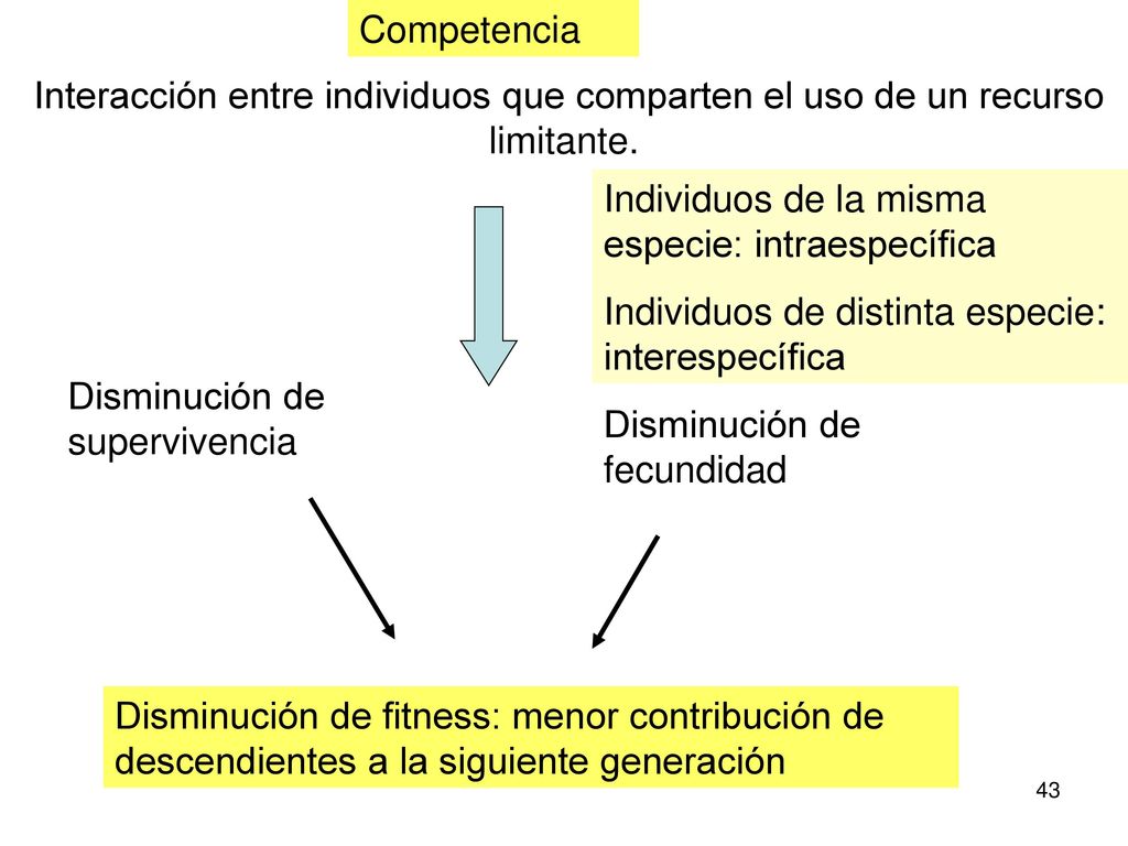 Competencia Interacción entre individuos que comparten el uso de un recurso limitante. Individuos de la misma especie: intraespecífica.