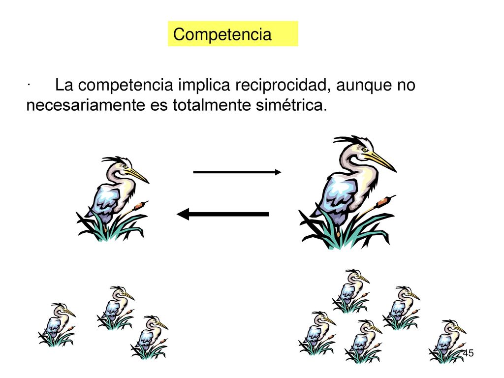 Competencia · La competencia implica reciprocidad, aunque no necesariamente es totalmente simétrica.