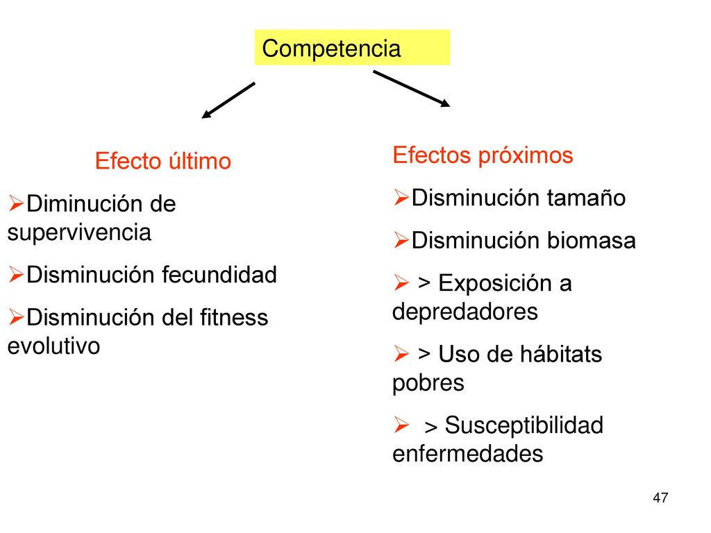Competencia Efectos próximos. Disminución tamaño. Disminución biomasa. > Exposición a depredadores.