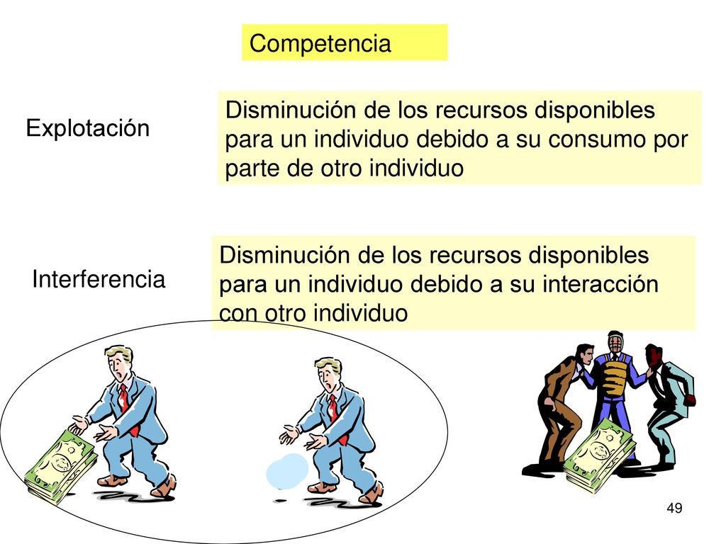 Competencia Disminución de los recursos disponibles para un individuo debido a su consumo por parte de otro individuo.