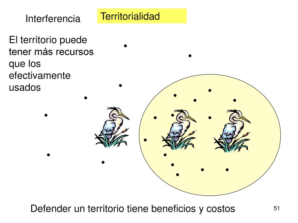 Territorialidad Interferencia. El territorio puede tener más recursos que los efectivamente usados.