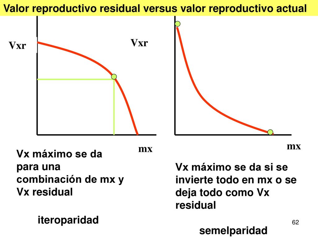 Valor reproductivo residual versus valor reproductivo actual