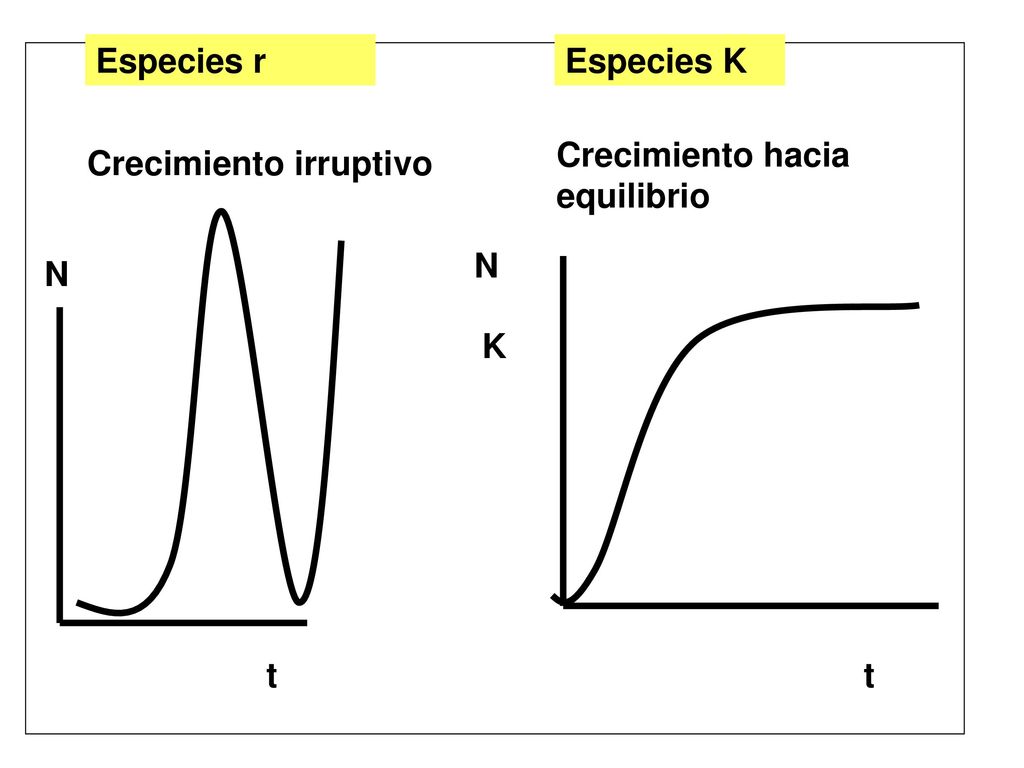 Especies r Especies K Crecimiento hacia equilibrio Crecimiento irruptivo N N K t t