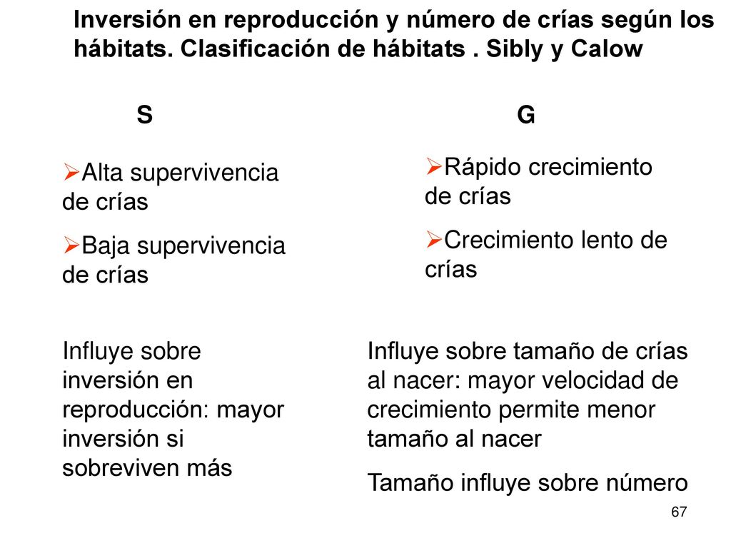 Inversión en reproducción y número de crías según los hábitats