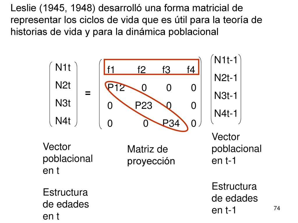 Leslie (1945, 1948) desarrolló una forma matricial de representar los ciclos de vida que es útil para la teoría de historias de vida y para la dinámica poblacional