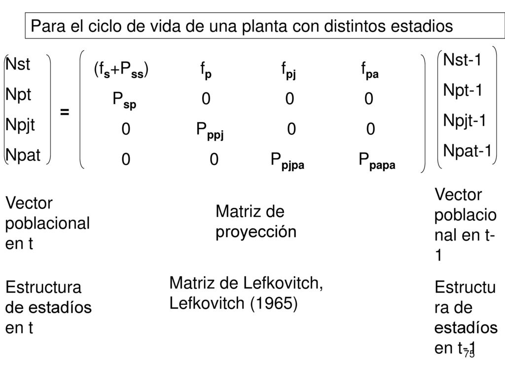Para el ciclo de vida de una planta con distintos estadios