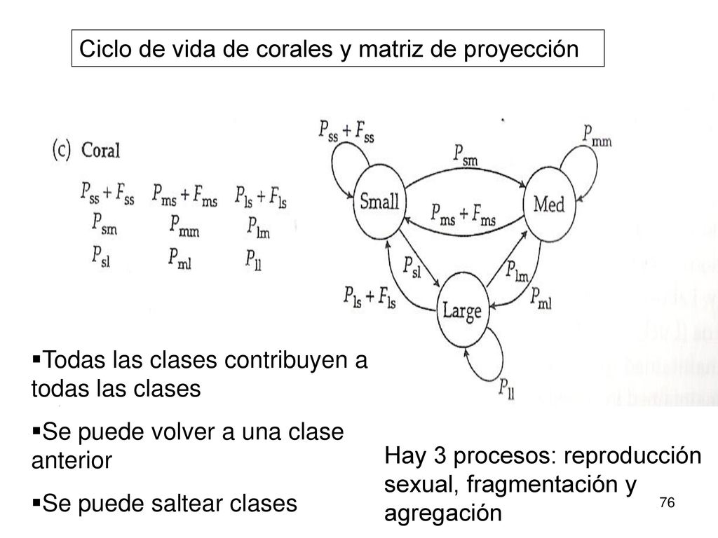 Ciclo de vida de corales y matriz de proyección