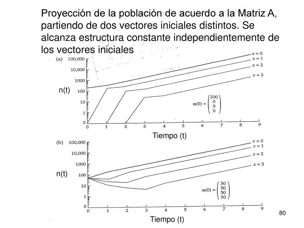 Proyección de la población de acuerdo a la Matriz A, partiendo de dos vectores iniciales distintos. Se alcanza estructura constante independientemente de los vectores iniciales