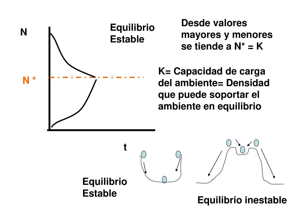 Desde valores mayores y menores se tiende a N* = K