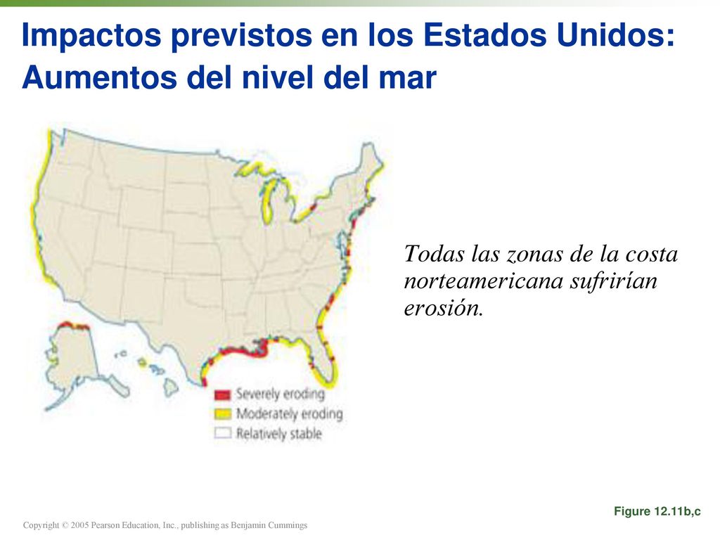 Impactos previstos en los Estados Unidos: Aumentos del nivel del mar