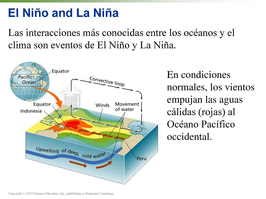 El Niño and La Niña Las interacciones más conocidas entre los océanos y el clima son eventos de El Niño y La Niña.