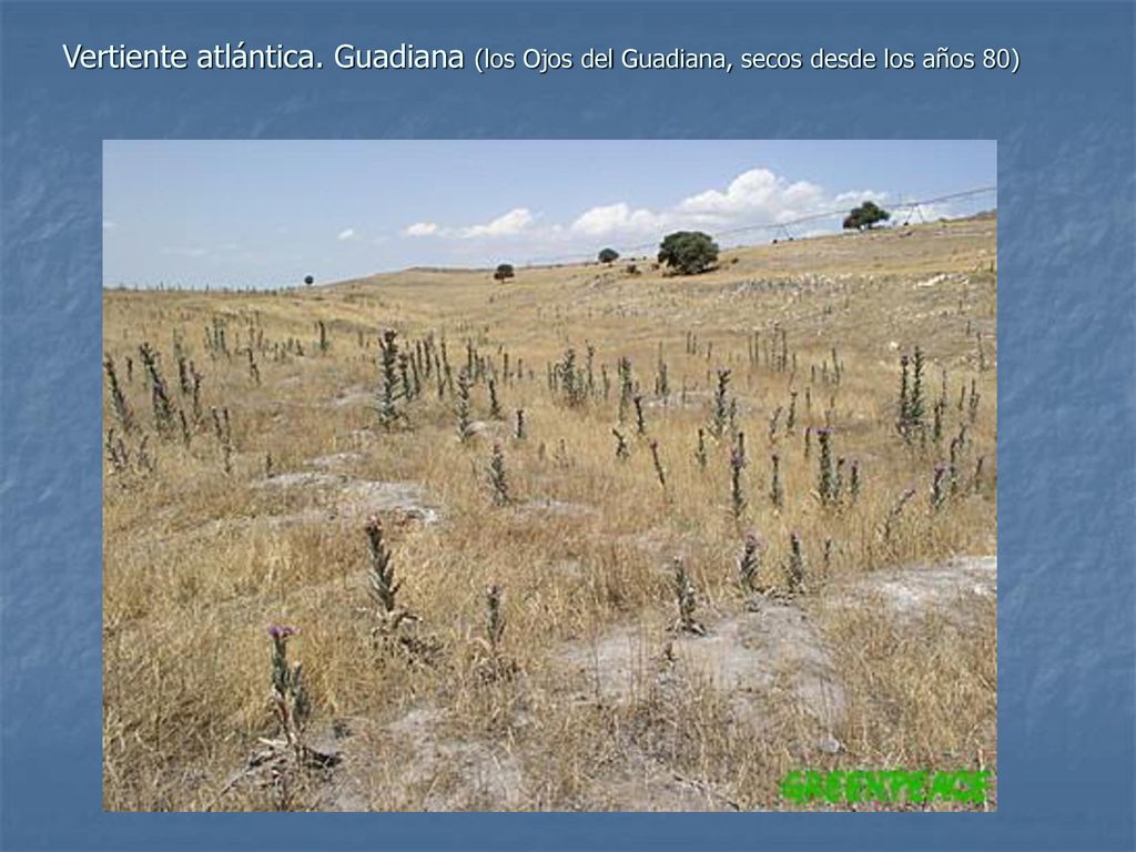 Vertiente atlántica. Guadiana (los Ojos del Guadiana, secos desde los años 80)