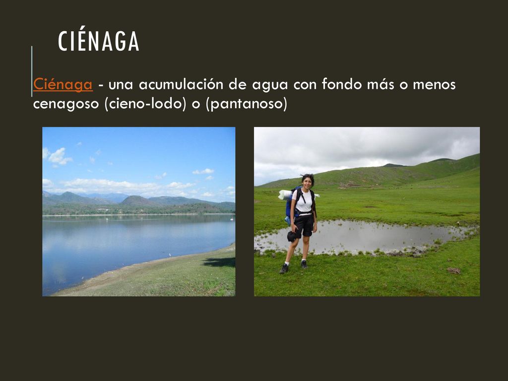 Ciénaga Ciénaga - una acumulación de agua con fondo más o menos cenagoso (cieno-lodo) o (pantanoso)