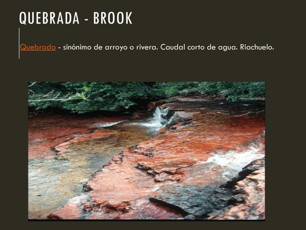 Quebrada - brook Quebrada - sinónimo de arroyo o rivera. Caudal corto de agua. Riachuelo.