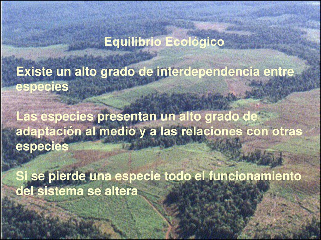 Equilibrio Ecológico Existe un alto grado de interdependencia entre especies.