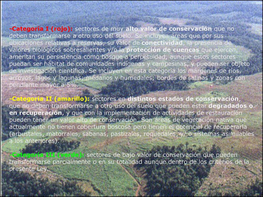 -Categoría I (rojo): sectores de muy alto valor de conservación que no deben transformarse a otro uso del suelo. Se incluyen áreas que por sus ubicaciones relativas a reservas, su valor de conectividad, la presencia de valores biológicos sobresalientes y/o la protección de cuencas que ejercen, ameritan su persistencia como bosque a perpetuidad, aunque estos sectores puedan ser hábitat de comunidades indígenas y campesinas, y pueden ser objeto de investigación científica. Se incluyen en esta categoría los márgenes de ríos, arroyos, lagos y lagunas; médanos y humedales; bordes de salinas y zonas con pendiente mayor a 5%.