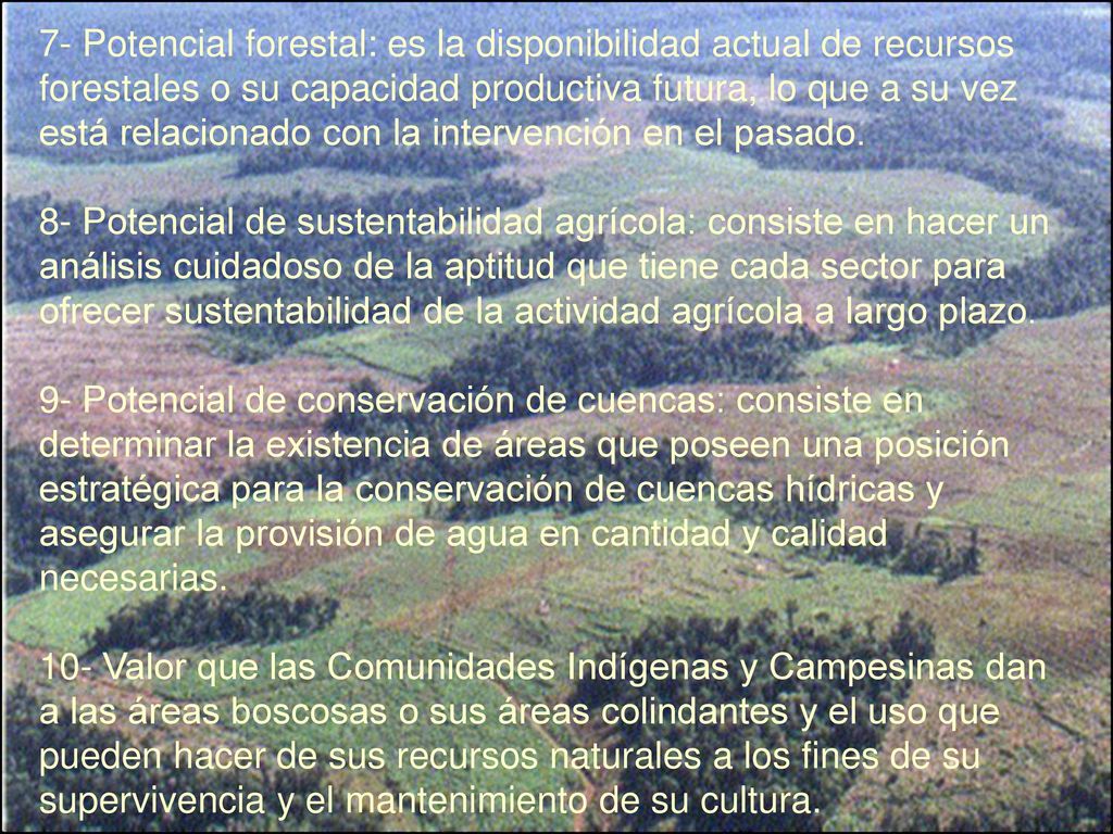 7- Potencial forestal: es la disponibilidad actual de recursos forestales o su capacidad productiva futura, lo que a su vez está relacionado con la intervención en el pasado.